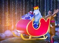 Santa`s sleigh with Christmas gifts boxes with bows and Christmas tree. Merry Christmas and Happy New Year. Polar bear is rides r Royalty Free Stock Photo