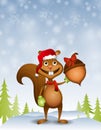 Santa Squirrel With Acorn Gift Royalty Free Stock Photo