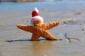 Santa Starfish