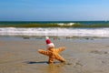 Santa Starfish