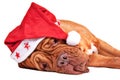 Is Santa tired? Royalty Free Stock Photo