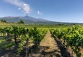 Sicilian vineyards with eruption of the volcano Etna on Sicilian background, Italy. Sicilian rural landscape Royalty Free Stock Photo