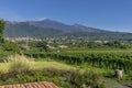 Sicilian vineyards with eruption of the volcano Etna on Sicilian background, Italy. Sicilian rural landscape Royalty Free Stock Photo