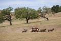 Santa Ynez Valley Historical Museum