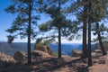 SantaFe National Forest Overlook Royalty Free Stock Photo