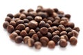 Santalum album (Indian sandalwood) seed Royalty Free Stock Photo