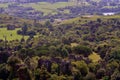 Santander, Cantabria Spain july 8 2020, Views of the forest in the Cabarceno natural park Royalty Free Stock Photo