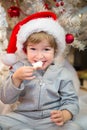 Santas little helper eating Christmas cookies. Royalty Free Stock Photo