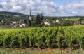 Santenay with Vineyard in Burgundy Royalty Free Stock Photo