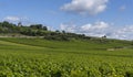 Santenay Vineyards Burgundy with Mill Royalty Free Stock Photo