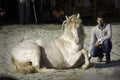 Santi Serra with one of his amazing horses in a public event in Lugo, Spain, in august 2016