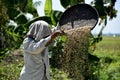 Santiago city, Isabela, Philippines, April 16, 2019, An old woman winnowing rice at the farm Royalty Free Stock Photo