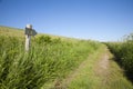 Santiago pilgrimage path