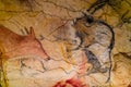 Prehistoric animal drawings on the ceiling of the Altamira Caves in northern Spain Royalty Free Stock Photo