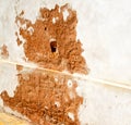 santo antonino lombardy varese abstract wall of a curch broke