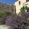 Santo Domingo de Guzman. Oaxaca, Mexico