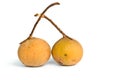 Santol Royalty Free Stock Photo