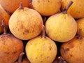 Santol fruit