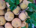 Santol fruit in Thailand market. Pile fresh santol fruit in market.