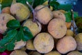 Santol fruit in Thailand market. Pile fresh santol fruit in market.