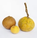 Santol fruits Royalty Free Stock Photo