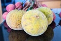 Santol-meliaceae fruit Royalty Free Stock Photo