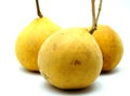 Santol; Tropical Exotic Fruit of Thailand on White Royalty Free Stock Photo