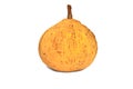 Santol, tropical fruit Royalty Free Stock Photo