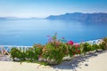 Santorini background. Greece, Santorini island, Oia - white architecture, flowers and blue sea and sky. Abstract background, empty Royalty Free Stock Photo