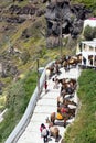 Santorini, Greece, April 2019. Horses and donkeys on the island of Santorini - the traditional transport for tourists. Animals on