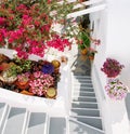 Santorini, Greece, Europe. Classic white Greek architecture with a ladder, various beautiful flowers. Streets of Santorini,