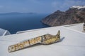 SANTORINI/GREECE Rooftops of houses overlook