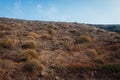 Santorini island autumn hills. Volcano soil natural landscape. Rows of stones