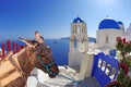 Santorini island with donkey in Oia village, Greece Royalty Free Stock Photo