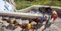 Santorini island, Greece - Donkeys at Fira village Royalty Free Stock Photo