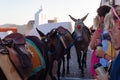 Donkeys in Oia, Santorini Island. Royalty Free Stock Photo