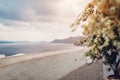 Santorini island Oia sunset landscape. Traditional white houses and blooming bougainvillea with sea view. Greece Royalty Free Stock Photo