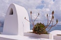 Santorini Succulent Flowers Seaa and Sky