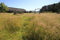 Santuario Naturaleza, Valdivia South America