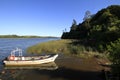 Santuario Naturaleza, Valdivia South America Royalty Free Stock Photo