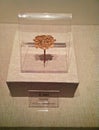 Sanxingdui museum exhibits: gold hairpin