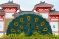 Flower peacock and garden at the entrance on the territory of Buddhist center Nanshan on a cloudy day Royalty Free Stock Photo