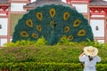 Flower peacock and garden at the entrance on the territory of Buddhist center Nanshan on a cloudy day