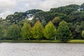 Sao Bernardo lake