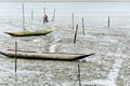 Shellfish gatherers in search of curstaceans for financial support and food for their family. Sao Francisco do Conde, Bahia,