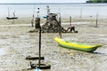 Shellfish gatherers in search of curstaceans for financial support and food for their family. Sao Francisco do Conde, Bahia,