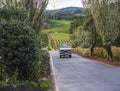 SAO MIGUEL ISLAND, AZORES, PORTUGAL, December 24, 2018: Old car truck driving on entrance road to the tea plantation of Royalty Free Stock Photo
