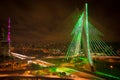 Sao Paul city bridge at night Royalty Free Stock Photo