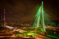Sao Paul city bridge at night