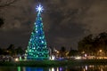 Illuminated traditional Christmas tree in Ibirapuera, at night, it is of the attraction in the south zone of the city of Sao Paulo